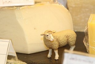 Сыр до Баварии доведёт