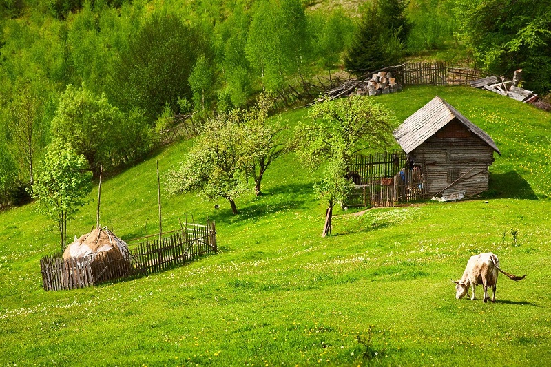Сельский агротуризм (агро тур в деревне, фермерский туризм) | статьи | Экоферма «Нестеровых»