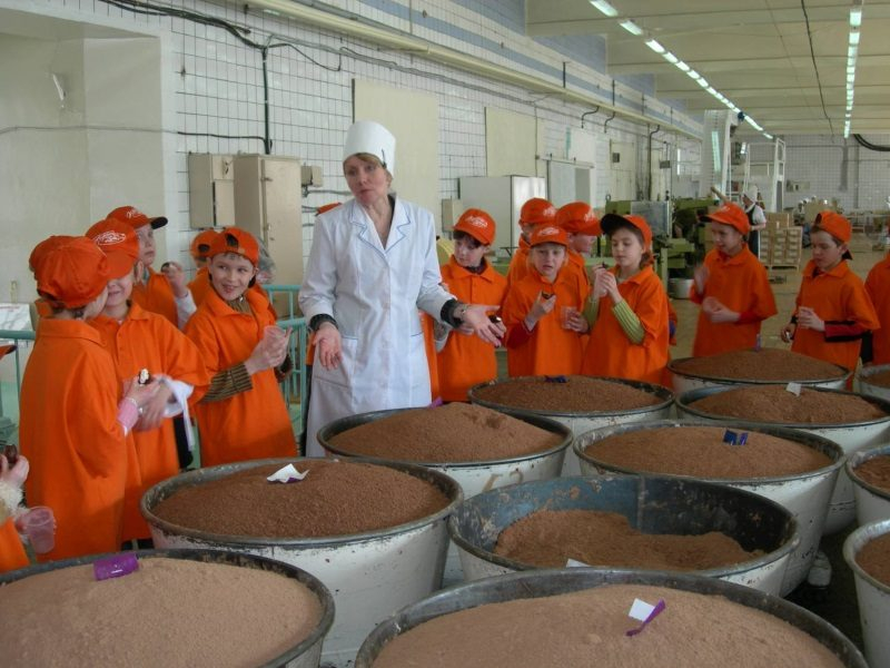Экскурсия шоколадную фабрику красный. Шоколадная фабрика красный октябрь экскурсия. Красный октябрь экскурсия на фабрику. Завод красный октябрь шоколадная фабрика. Экскурсия на шоколадную фабрику в Москве красный октябрь.