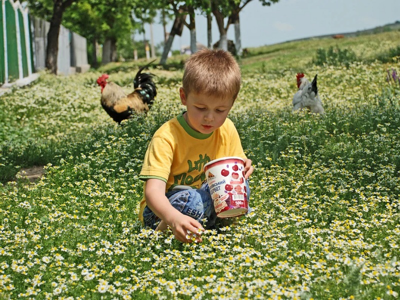 Дети из деревни фото