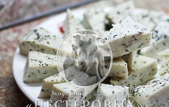 Hard Cheese with herbs  